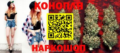apvp Будённовск